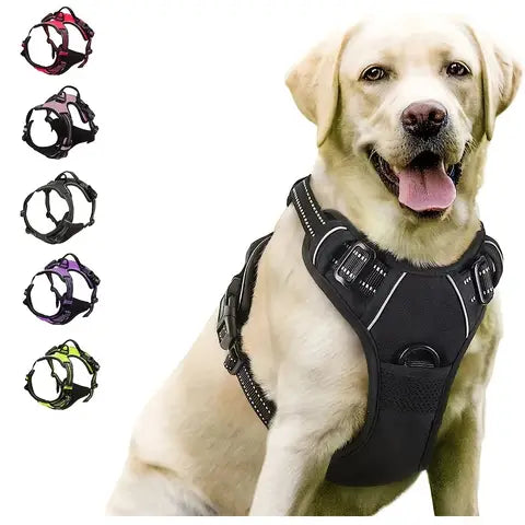 No-pull dog harness
