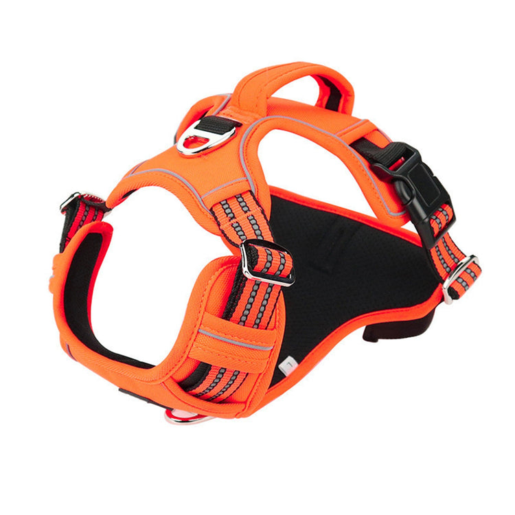 The Dog Walk Set — harness, leash, water bottle and collar for daily walks