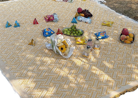 Outdoor Picnic Blanket — Waterproof & Moisture-Proof