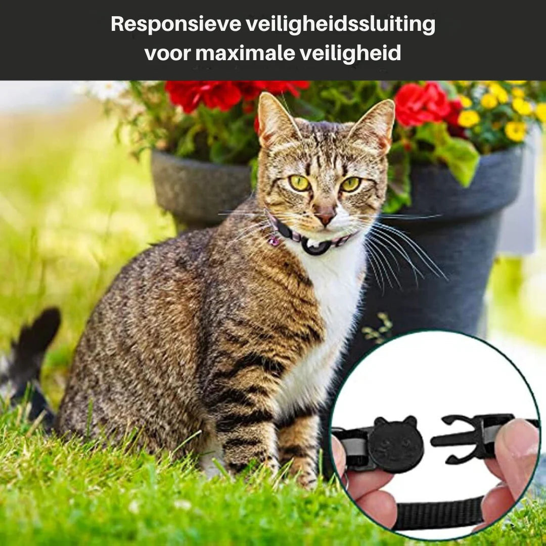 Reflective GPS Cat Collar