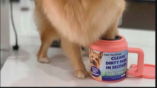 Paw Plunger Black 5.25 Inch L X 3.5 Inch W X 4 Inch H Gentle Paw Cleaner to Keep Your Home and Car Dirt-Free